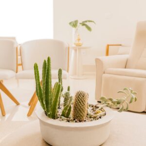 Artificial Eucalyptus Garland - Pack of 6 (6ft each)